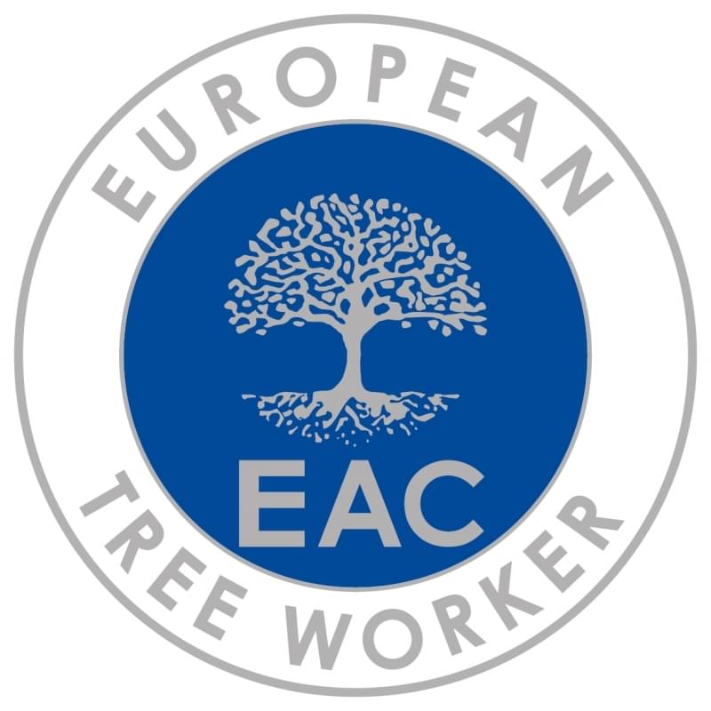 European tree worker in Kaiserslautern